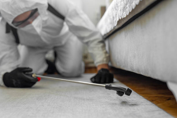 Professional Termite Control technician working in Melbourne, FL