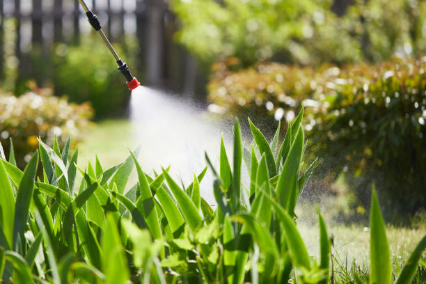 24/7 Emergency Termite Control experts in Melbourne, FL