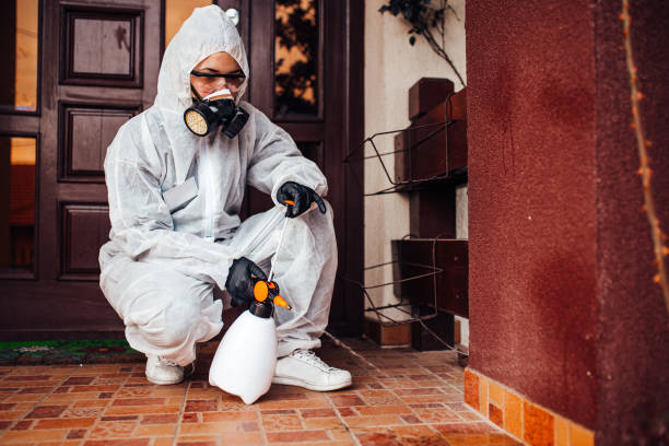 Reliable Termite Control contractor in Melbourne, FL by Nex Pest Control