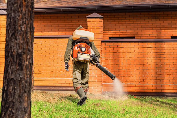 Top rated local Termite Control specialists in Melbourne, FL